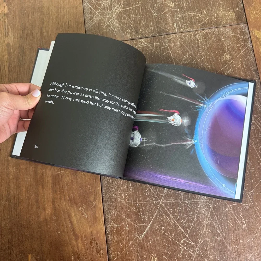 The First‎ Fairy Tale Book I: The Adventure Begins Children's Book Conception